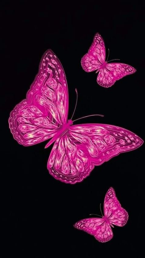 Wallpaper Mariposas, Butterflies Poster, Image Zen, Hot Pink Butterfly, Hot Pink Wallpaper, Neon Rose, Paisley Wallpaper, Butterfly Background, Butterfly Wallpaper Backgrounds