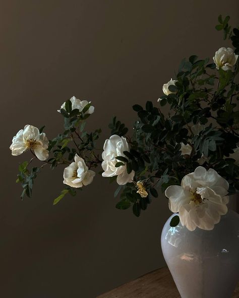 Emily Slotte: ig Flowers In A Vase Aesthetic, Vase Aesthetic, Flowers In A Vase, Nothing But Flowers, Flower Therapy, Luxury Flowers, White Aesthetic, Green Aesthetic, Ikebana