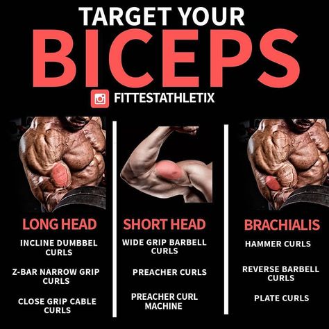 Top Gym Tips on Instagram: “📌 Two-Headed Biceps 📌 By @fittestathletix . Go follow @fittestathletix for more amazing posts like this! . The two main actions of the…” Big Biceps Workout, Transformation Motivation, Exercise Routines, Biceps And Triceps, Weight Training Workouts, Workout Chart, Health Life, Triceps Workout, Biceps Workout