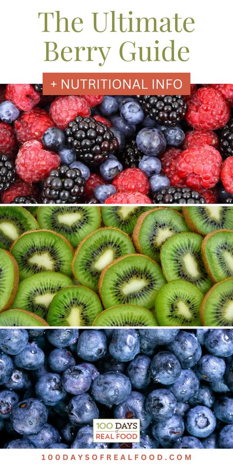 Cut Fruits. With Text Reading: Types of Berries Fruit Guide. Best Berries To Eat, Blackberries Benefits, Berries Health Benefits, Blueberries Healthy Benefits, Blackberries Aesthetic, Wild Fruits And Berries, Benefits Of Berries, Zero Carb Foods, Types Of Berries