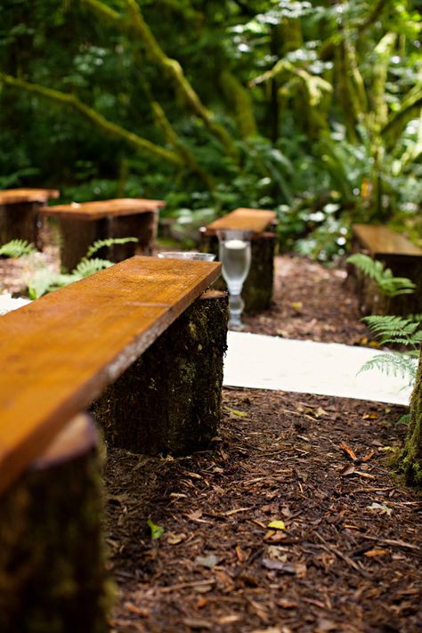 rustic wood wedding ceremony benches Wedding Bench, Rustic Wood Bench, Wood Benches, Meadow Wedding, Wooden Benches, Diy Bench Outdoor, Big Backyard, Spring Meadow, Ceremony Seating