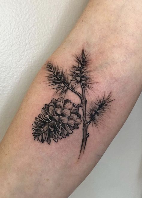 From forest to forearm: Pine Cone Tattoo ideas that bring a touch of woodland magic to your ink collection! 🍃🌲 Immerse yourself in the natural beauty of these tree-inspired designs. Nature, Tattoo Leg Woman, Unique Leg Tattoos, Pine Cone Tattoo, Forest Tattoo Sleeve, Cone Tattoo, Small Nature Tattoo, Botanical Tattoo Design, Upper Leg Tattoos