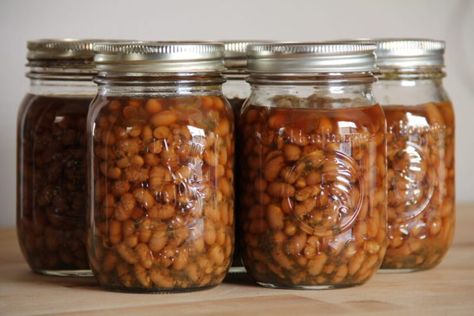 Canning Baked Beans, Maple Beans, Maple Baked Beans, Canning Beans, Canned Baked Beans, Bbq Beans, Homemade Baked Beans, Pressure Canning Recipes, Canning Kitchen