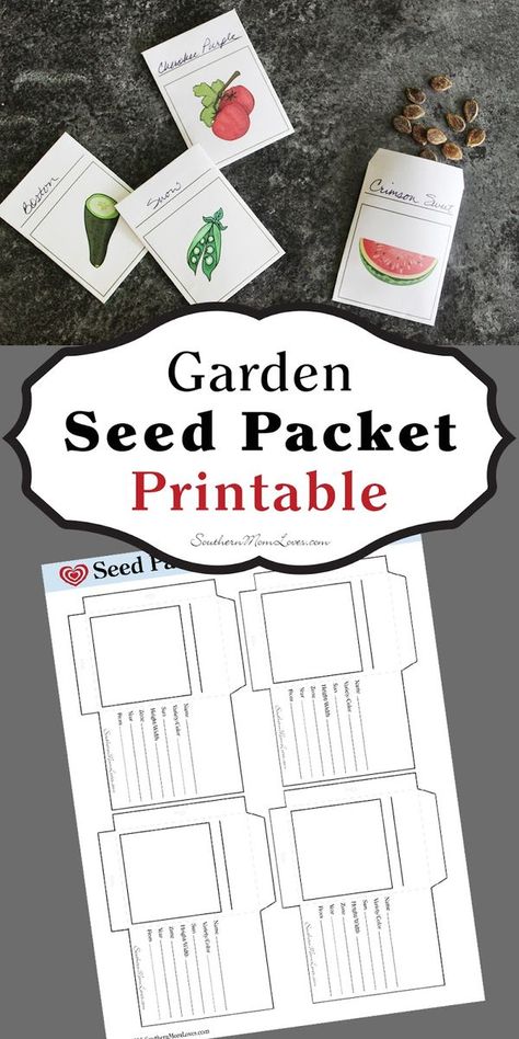 Now is the time when gardens are winding down, and if you use heirloom seeds, you're probably drying out your seed for next year's garden. Instead of storing them in baggies, jars, or in folded slips of paper, you can get organized with these (free!) printable seed packets. Seed Organization, Garden Seeds Packets, Landscaped Garden, Seed Storage, Southern Mom, Spring Fair, French Country Garden, Garden Planner, Vantage Point