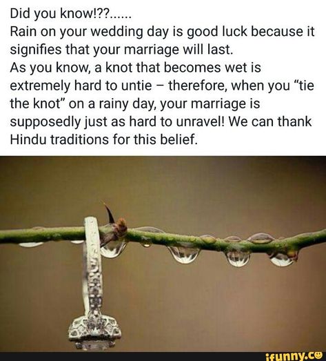 Found on iFunny Rain On Wedding Day Quotes, Best Wedding Quotes, Rain On Wedding Day, Rainy Day Quotes, Wedding Day Quotes, The Best Relationship, Rain Wedding, Rainy Day Wedding, Love Rain