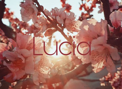 Lucia Name, Beautiful Names, Cool Names, Girl Names, Baby Names, Parenting, Quick Saves