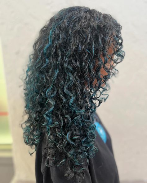 Blue curly highlights and a reshaping💙🌀 Swipe for the before—> • • • • • • • #curls #curlscurlscurls #curlyhair #curlygirls #curlystylist #curlystyling #hairstylist #hair #naturalhair #hairdye #color #dye #highlights #bouncyhair #flow #transformation #dimension #blue #bluehair Blue Streaks Curly Hair, Dyed Curly Hair Blue, Curly Blue Highlights, Dyed Curly Hair Highlights, Blue Calico Hair, Curly Hair With Blue Highlights, Blue Highlights Curly Hair, Teal Curly Hair, Curly Blue Hair