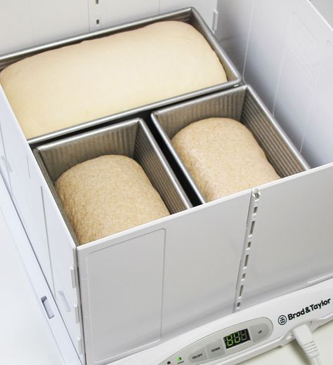 three loaves rising in the folding proofer Sourdough Bread Equipment, How To Keep Sourdough Bread Fresh, Bread Temperature When Done, Sourdough Bread Proofing Basket, Sourdough Bulk Fermentation Temperature, Dough Proofing, Homemade Bread Dough, Bread Proofer, Gluten Free Yeast Free