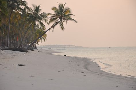 Are you looking for a tropical paradise with crystal-clear waters and pristine beaches? Lakshadweep, situated off the southwest coast of India, is a serene destination that boasts of natural beauty. Sunset Desktop Wallpaper, Lakshadweep Islands, Honeymoon Places, Wallpaper Computer, Visit India, States Of India, Home Computer, Computer Desktop, Paradise On Earth