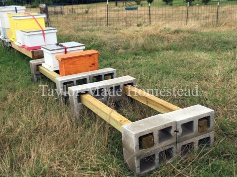 Beehive Stands Put Together In 5 Minutes? YES! We're Using Concrete Cinder Blocks & 4x4 Posts. Come See How Easy It Is! #TaylorMadeHomestead Beehive Stands, Hive Stands, Beehive Stand, Apiary Design, Diy Beehive, Bee Hive Stand, Hive Stand, Bee Yard, Flow Hive