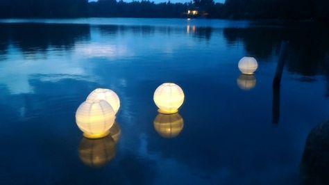 Paper Lantern Centerpieces, Floating Paper Lanterns, Terrarium Centerpiece, White Paper Lanterns, Terrarium Wedding, Paper Lanterns Diy, Floating Lanterns, Pool Water Features, Lantern Centerpieces