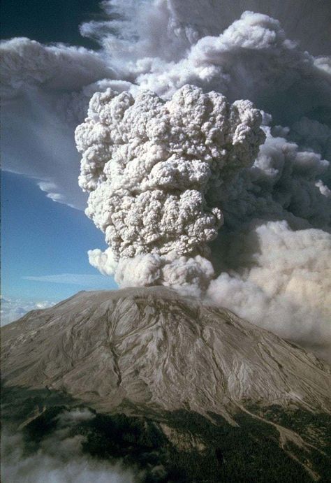 Mount St Helens, Saint Helens, Rare Historical Photos, The Blitz, Sharing Economy, Historical Moments, Active Volcano, St Helens, Historical Photos