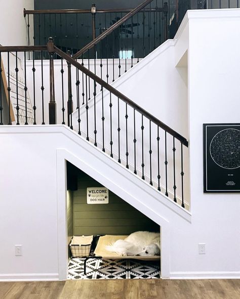 Dog Under The Stairs Room, Dog Spot Under Stairs, Dog Cubby Under Stairs, Dog Nook Under Stairs, Dog Den Under Stairs, Understairs Dog Area, Dog Crate Under Stairs, Under Stairs Dog Kennel, Under Stairs Dog Room