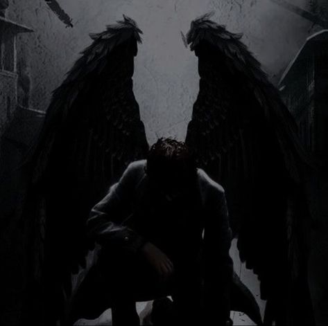 Angel Devil Aesthetic, King Of Hybern, God Of Night, Traditional Moon, Human Wings, Dark Angel Wings, House Of Earth And Blood, Fantasy Art Couples, Devil Aesthetic