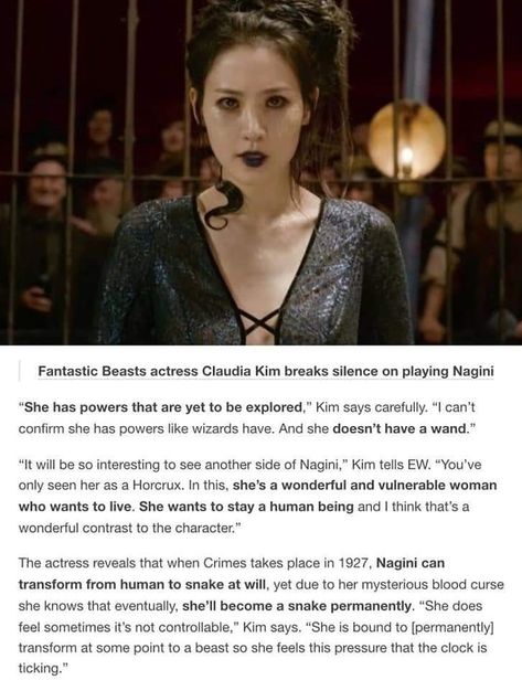 Fantastic Beasts Funny, Nagini Fantastic Beasts, Nagini Harry Potter, Fantastic Beasts Book, Claudia Kim, The Crimes Of Grindelwald, Fantastic Beasts Series, Fantasic Beasts, Fantastic Beasts Movie