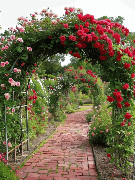 Rose Garden Ideas, Garden Ideas Uk, Landscaping With Roses, Pink And Red Roses, Brick Pathway, Rose Garden Design, Rose Varieties, Garden Arches, Border Plants