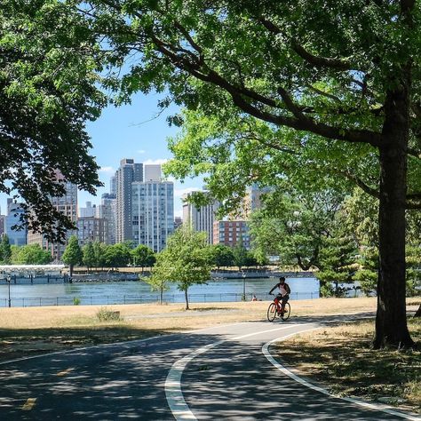 NYC Parks on Instagram: “Although this summer is different, we’re here to help you enjoy the little things — a breezy bike ride, a stroll in the park, the dance of…” Stroll In The Park, Nyc Park, Park City, Central Park, Bike Ride, Little Things, New York City, New York, Bike