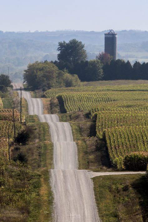 Roller Coaster Road is in Northeast Iowa's Allamakee County (Yes, it's actually named that!). Visit https://www.traveliowa.com/getinspireddetails/24-uniquely-iowa-attractions/85/ for more info on this Uniquely Iowa Attraction and 23 others! #thisisiowa #roadtrip #adventure #unique #iowa #attractions Iowa Road Trip, Iowa Travel, Harpers Ferry, States In America, Dirt Road, Back Road, Off The Beaten Path, Roller Coaster, Hidden Gems