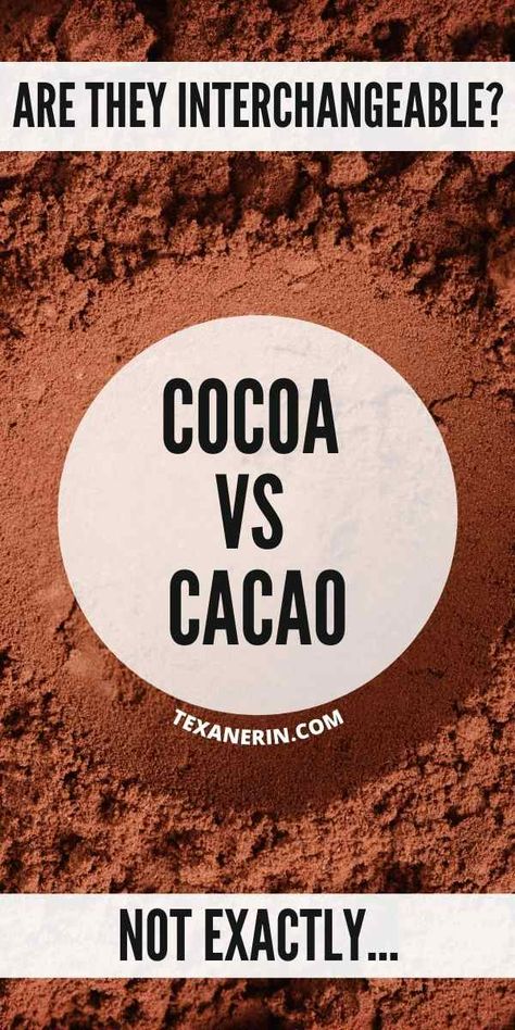 Recipes Using Cocoa Powder, Chocolate From Cocoa Powder, Cocoa Benefits, Cocoa Butter Recipes, Chia Pudding Overnight, Cocoa Vs Cacao, Pudding Overnight Oats, Overnight Oats Protein, Cacao Powder Benefits