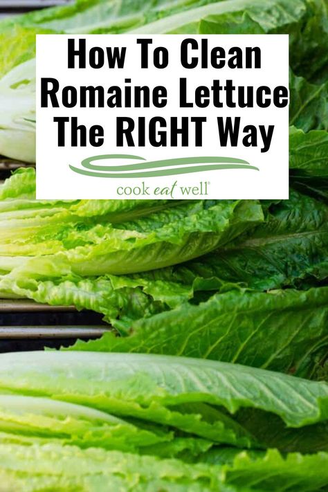 How To Clean Romaine Lettuce, Storing Romaine Lettuce In Fridge, How To Wash Lettuce, Salad Recipes Romaine Lettuce, How To Chop Romaine Lettuce, Recipes Using Romaine Lettuce, How To Cut Romaine Lettuce For Salad, How To Clean Lettuce, How To Wash Romaine Lettuce