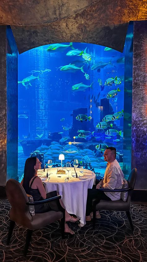 Living Underwater, Aquarium Restaurant, Trip Moodboard, Underwater Restaurant, Lilly Pad, Coffee Restaurants, Dinner Room, Office Layout, Graduation Project