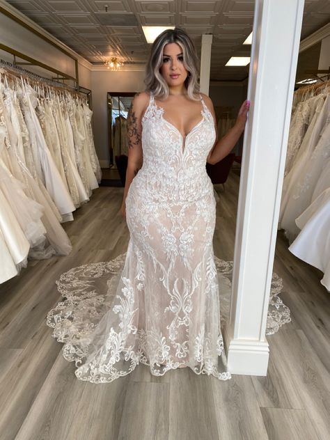 Top Heavy Wedding Dress, Thick Bride Wedding Dresses, Simple Beach Wedding Dress Curvy, Stomach Hiding Wedding Dresses, Elope Wedding Dress Plus Size, Trisha Paytas Wedding Dress, Wedding Dresses Beach Plus Size, Lace Mermaid Wedding Dress Plus Size, Mermaid Style Wedding Dresses Plus Size