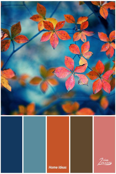 Four Color Palette Colour Schemes, Colourways Colour Palettes, Pink Orange Blue Color Palette, Kitchens Wallpaper, Color Palettes Aesthetic, Houses Bathroom, Cabinet Color Combinations, Aesthetic Color Palettes, Design Seeds Color Palette