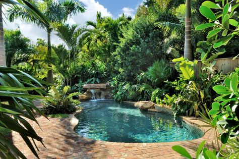 Swimming Pool Design Ideas | Landscaping Ideas and Hardscape Design | HGTV Swimming Pool Fountains, Tropical Pool Landscaping, Swimming Pool Landscaping, Lagoon Pool, Tropical Backyard, Hardscape Design, Pool Landscape Design, Landscaping Inspiration, Pool Fountain