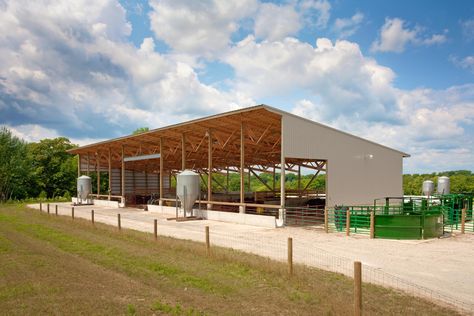 Goat Housing, Cattle Barn Designs, Farm Ville, Show Cattle Barn, Cow Shed Design, Cattle Housing, Cattle Facility, Cattle Pens, Cow Barn