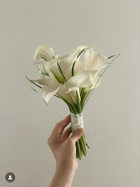 Fresh Flower Hand Bouquet Wedding, Lilly Bouquet Wedding, Calla Lily Bridesmaid Bouquet, Calla Lillies Bouquet, Bride Bouquets White, Small Bridesmaid Bouquets, Calla Lily Bridal Bouquet, Brides Flowers Bouquet, Small Bridal Bouquets