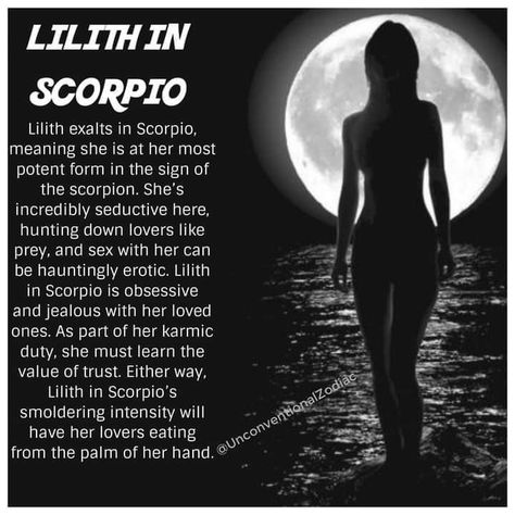 Lilith In Scorpio, Black Moon Lilith, Taurus Moon, Taurus Love, Scorpio Moon, Astrology Chart, Natal Charts, Birth Chart, Astrology Zodiac