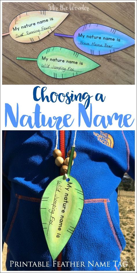 Choosing a Nature Name with a class, nature group or as a family is fun, memory building activity that will last a lifetime! Exploring Nature Activities For Preschoolers, Nature Social Emotional Activities, Nature Detectives Activities, Nature Camp Ideas, Nature Week Activities, Nature Games For Kids, Forest School Ideas, Wilderness Activities, Forest Activities