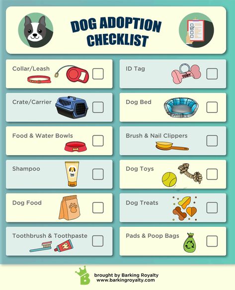 Ready for a new #pup? Check if you have prepared everything your pup needs and run through this handy list! #dog #dogadoption #puppy Adoption Checklist, Dog Supplies List, Puppy List, New Puppy Checklist, Background Grey, Puppy Mom, Puppies Tips, Harness Dog, Dog Essentials