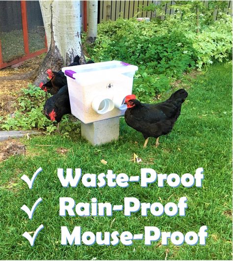 The Waste-Proof, Rain-proof, Mouse-proof Chicken Feeder - Revolutionary Chicken Rain Proof Chicken Feeder, Self Feeding Chicken Feeder, Waterproof Chicken Feeder, Covered Chicken Feeder, Mouse Proof Chicken Feeder, Rodent Proof Chicken Feeder, Goat Proof Chicken Feeder, Rat Proof Chicken Feeder, Chicken Feeders Diy No Waste