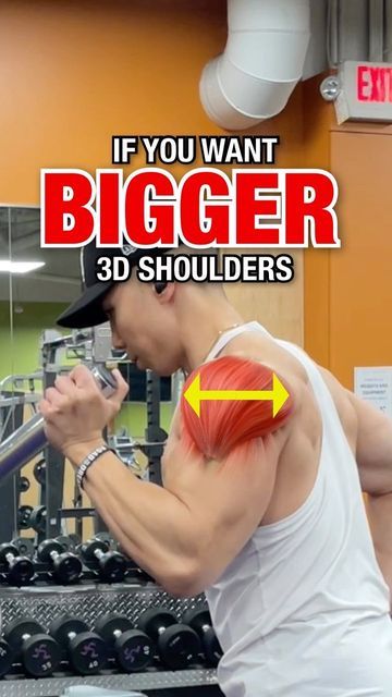 Big Biceps Workout, Big Biceps, Bigger Arms, Men's Workout, Biceps And Triceps, Martial Arts Workout, Biceps Workout, Workout Plans, Chest Workout