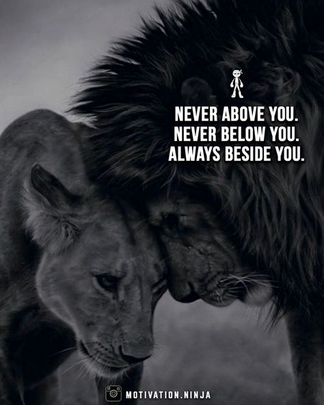 Never Above you. Never below you. Always beside you. | Picture Credit : Instagram @motivation.ninja Deep Meaningful Quotes, Lion Quotes, Word Up, Inspiring Quotes About Life, Quotes For Him, Love Quotes For Him, Great Quotes, Relationship Quotes, Favorite Quotes