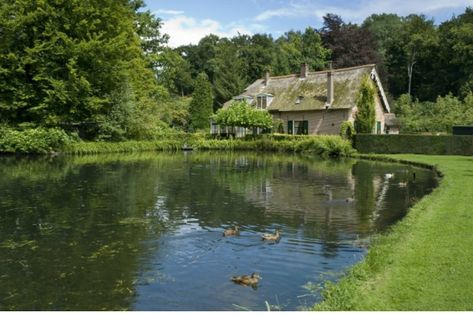 Build A Pond, Pond Construction, Farm Pond, Building A Pond, Natural Swimming Ponds, Diy Pond, Pond Waterfall, Swimming Pond, Pond Landscaping