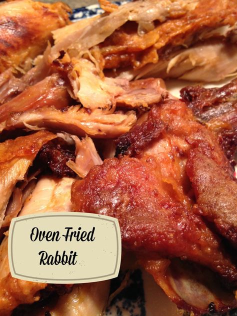 On the Menu Today~  Oven Fried Rabbit          Our neighbor is an avid fisherman and hunter.  He recently stopped by and asked if we would l... Cooked Rabbit Recipes, Baked Rabbit Recipes Easy, Recipes With Rabbit Meat, How To Cook Rabbit Recipes, Fried Rabbit Recipes Easy, Oven Roasted Rabbit Recipe, Cooking Rabbit Recipes, Rabbit Recipe Baked, Slow Cooker Rabbit Recipes