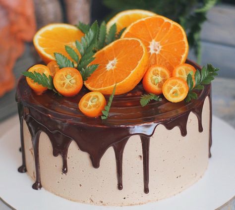 Cake With Oranges, Cake Decorated With Fruit, Edible Flowers Cake, Fresh Fruit Cake, Chocolate Cake Designs, Orange Chocolate Cake, Pastry Recipe, Chocolate Mousse Recipe, Chocolate Mousse Cake