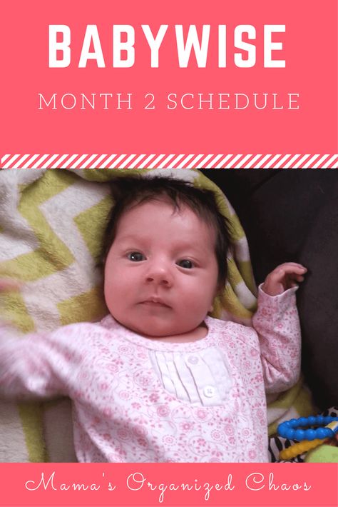 Babywise Schedule Month 2 - Mama's Organized Chaos Babywise Schedule, Baby Wise, Newborn Schedule, Kids Fever, Toddler Schedule, Baby Schedule, Baby Sleep Schedule, Baby Puree, Newborn Hacks