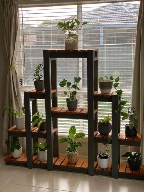 Plant Stand Decor, Indoor Plant Shelves, Indoor Plant Wall, Indoor Tree, نباتات منزلية, Plant Stands Outdoor, Hanging Plant Wall, Wooden Plant Stands, Wood Plant Stand