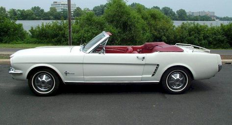 Wimbledon White 1965 Mustang  Convertible.................had this but not a convertible, white w/pony interior. Had a blue one too. Vintage White Mustang, 65 Mustang Convertible, 1965 Mustang Convertible, 1965 Ford Mustang Convertible, Mustang 65, White Mustang, Ford Mustang 1964, 65 Mustang, 1965 Ford Mustang