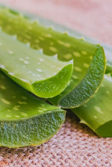 We asked experts everything you need to know about aloe vera for face, including aloe vera benefits for skin and how to use aloe vera on face. #skincare #face #gel #aloevera Aloe Vera On Face, Aloe Vera Gel For Face, Aloe Vera For Face, Aloe Vera Benefits, Aloe Vera For Skin, Face Skincare, Aloe Plant, Simple Makeup Looks, Beauty Clothes