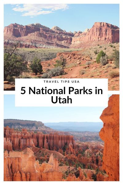 The state of Utah is home to five National Parks and they are absolutely gorgeous. In this article, I�ll tell you all about the Utah National Parks. #USA #roadtrip #Southwest Visit Utah, The Narrows, Utah Road Trip, Utah Hikes, Hiking Photography, Visit Usa, Capitol Reef National Park, National Park Road Trip, Canyonlands National Park