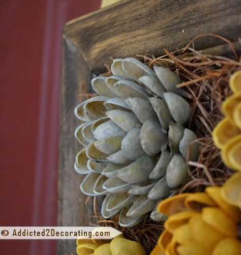 Crafts With Pistachio Shells, Pistachio Shells Crafts, Pistachio Crafts, Pistachio Shell Crafts, Walnut Shell Crafts, Pistachio Nut, Pistachio Shell, Pistachio Shells, Shell Flowers