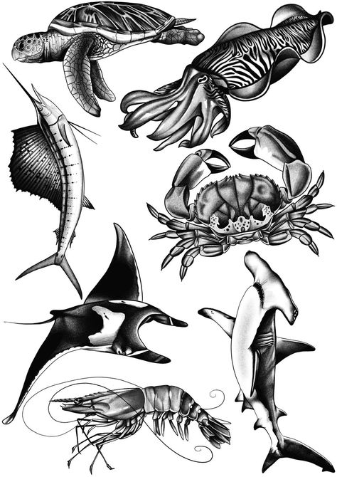 Ocean Animals Tattoo, Ocean Creatures Tattoo, Black Fish Tattoo, Ocean Themed Tattoos, Ocean Tattoo Ideas, Ocean Life Tattoos, Ocean Theme Tattoos, Marine Tattoo, Wrist Tattoo Designs