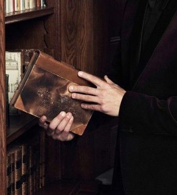 Henry Winter, Charles Baudelaire, Dark Acadamia, Will Herondale, Potter Aesthetic, Library Aesthetic, Infernal Devices, Donna Tartt, Dead Poets Society