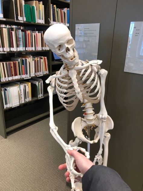 Skeleton Studying, Med School Aesthetic, Medical Skeleton, Skeleton Medical, Female Surgeon, Aesthetic Doctor, Medical School Life, Nursing School Motivation, Medical Pictures