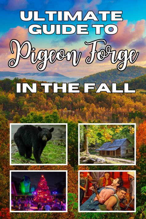 The main image displays a stunning autumn landscape of the Smoky Mountains, with colorful foliage under a dramatic sky. Smaller images within the collage highlight a black bear in the wilderness, a rustic cabin surrounded by fall colors, a lively nighttime pumpkin festival, and a cheerful group of people enjoying a musical performance. The title, "Ultimate Guide to Pigeon Forge in the Fall," is prominently displayed at the top. Pigeon Forge In December, Pigeon Forge Tennessee In November, Pigeon Forge In The Fall, Gatlinburg Pigeon Forge Itinerary, Places To Stay In Pigeon Forge Tn, Cozy Activities, Pigeon Forge Vacation, Mountains Vacation, Clingmans Dome