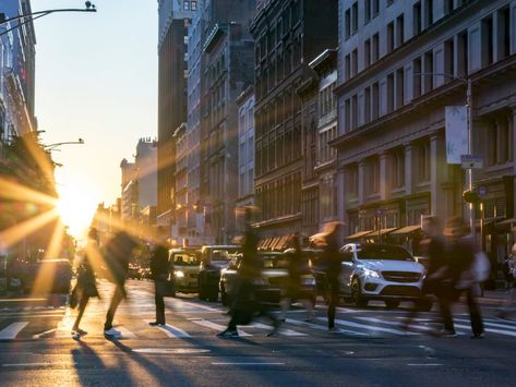 I Didn’t Realize How Lonely My Big-City Life Was—Until I Left - Chatelaine Pedestrian Crossing, Midtown Manhattan, Busy City, Fall Back, Manhattan New York, Urban Area, Big City, City Streets, City Life